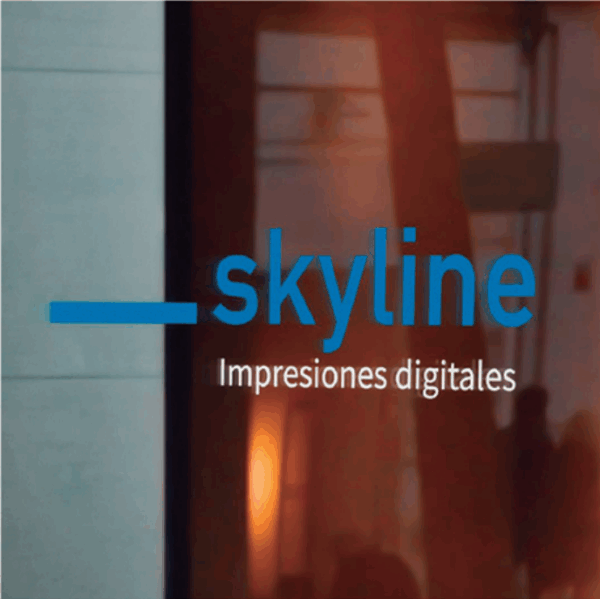IMPRESION DIGITAL DE VINIL DE CORTE